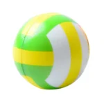 Training Ball Toy