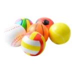 Training Ball Toy