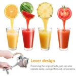 Manual Juice Squeezer