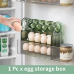 Egg Storage Auto Flip Up