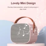 Wireless Mic With Speaker