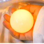 Shell Pearl Night Light