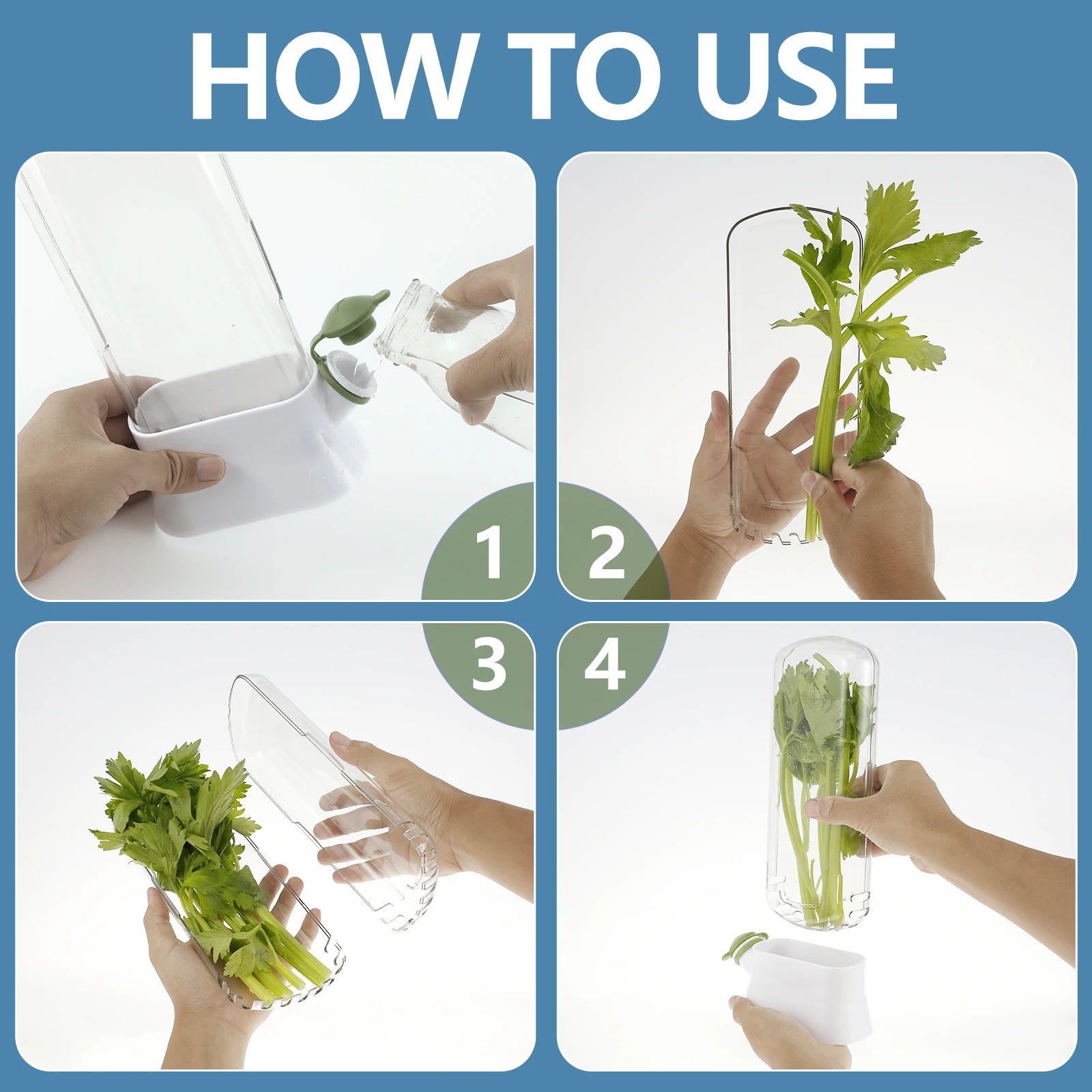 Fresh Herb Storage Container