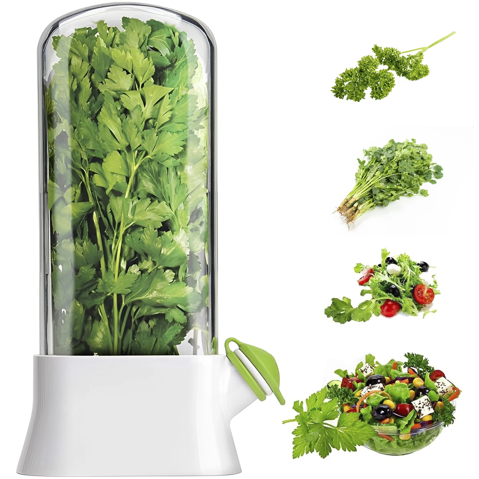 Fresh Herb Storage Container