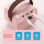 Wireless Mic With Speaker