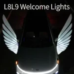 Angel Wing Light for Car