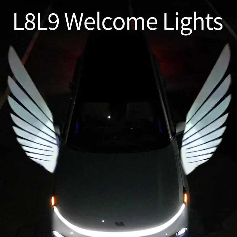 Angel Wing Light for Car