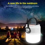 24 LED Solar Bulb Lamp