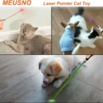 Green Laser Pointer